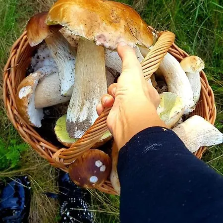 Panzió Karczma Tyrolska U Martina 3*